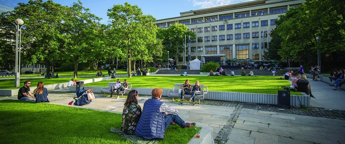 STU - ТОП 1 по показателям трудоустройства выпускников