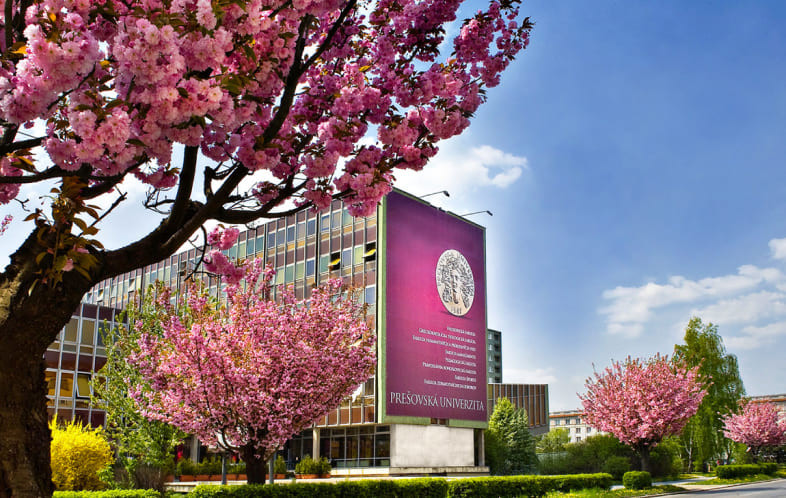 Прешовский университет в Словакии